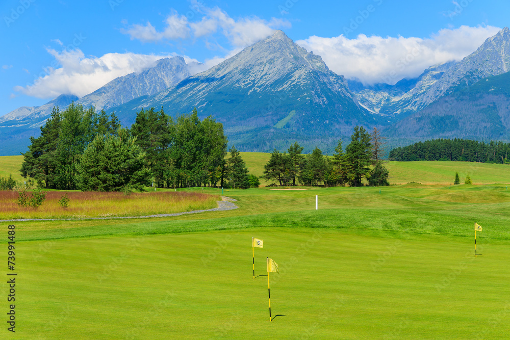 Obraz premium Green area of a golf course in Tatra Mountains, Slovakia