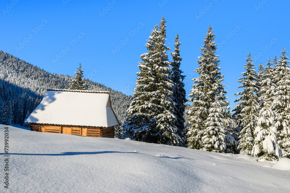 Hut on Rusinowa polana in winter time, Tatra Mountains, Poland