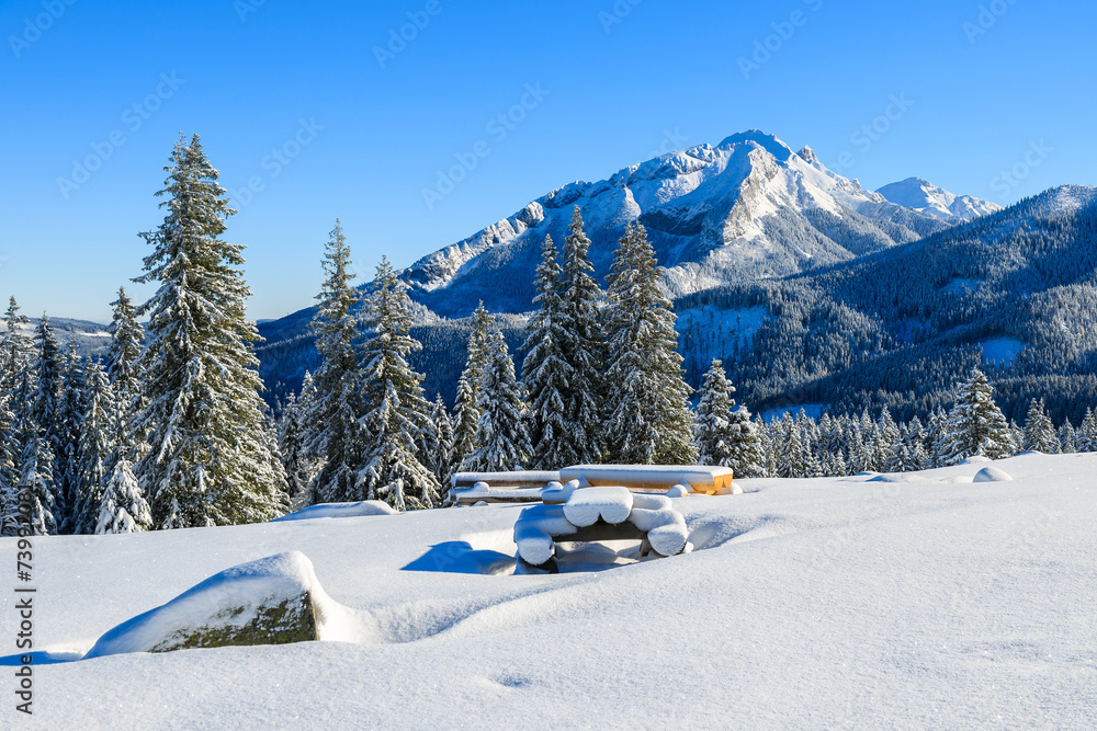 Winter landscape of Rusinowa polana, Tatra Mountains, Poland - obrazy, fototapety, plakaty 