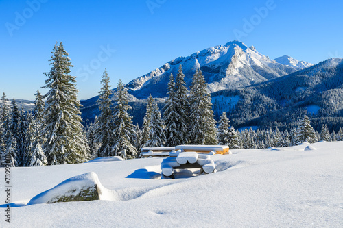 Winter landscape of Rusinowa polana, Tatra Mountains, Poland