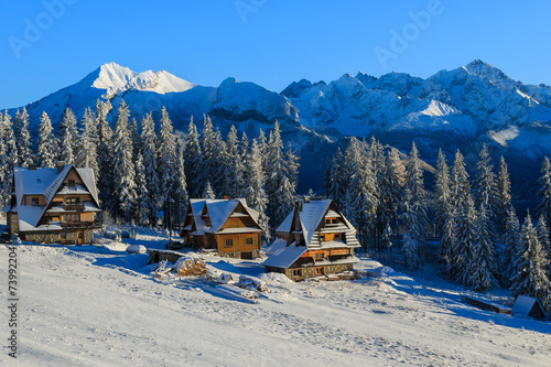 Houses in Bukowina Tatrzanska in winter, Tatra Mountains, Poland