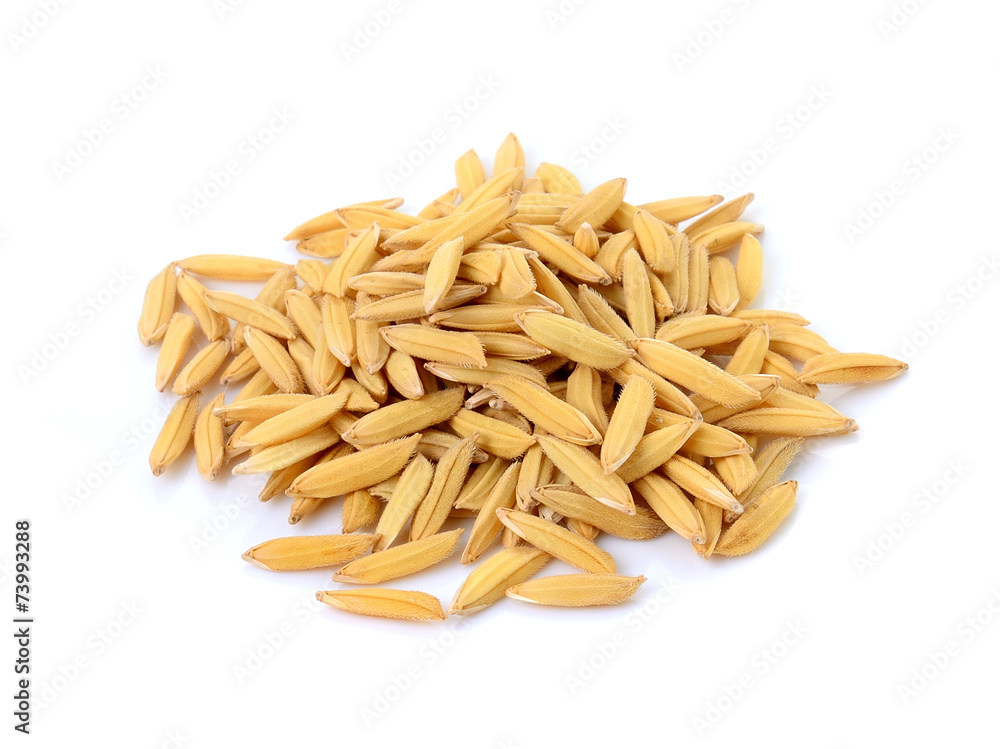 paddy jasmine rice on white background paddy jasmine rice on white background