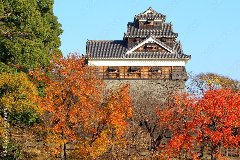 Obraz premium 熊本城 秋の飯田丸