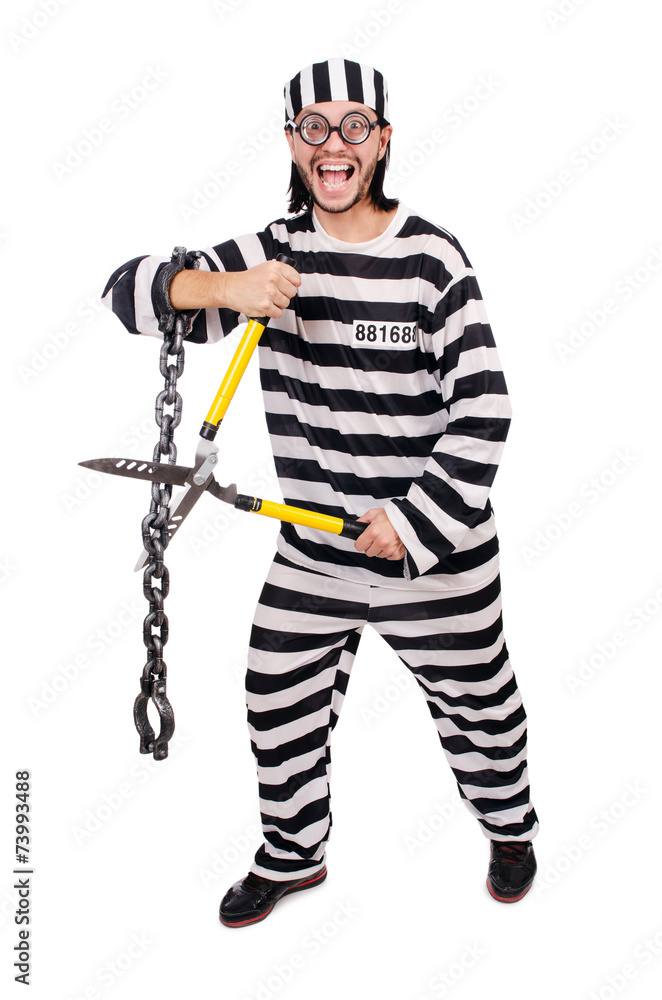 Prison inmate isolated on the white background Prison inmate isolated on the white background