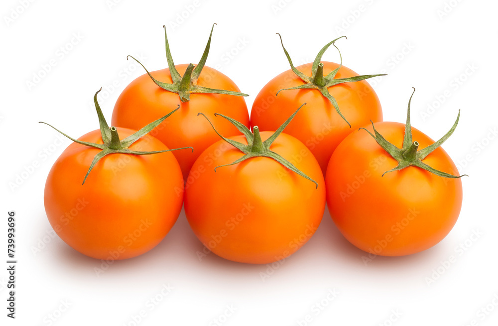 tomatoes tomatoes