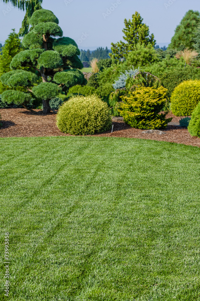 Lawn and landscaped garden