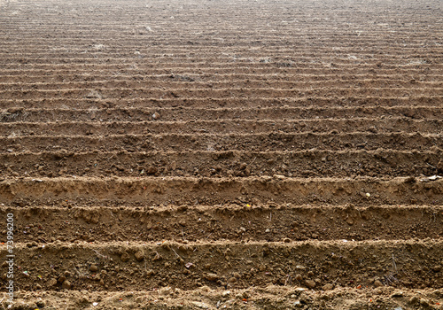 Soil grooves farm lands.
