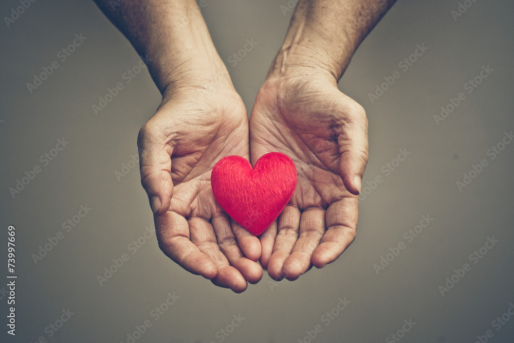 old hands of the elderly giving a red heart - obrazy, fototapety, plakaty 