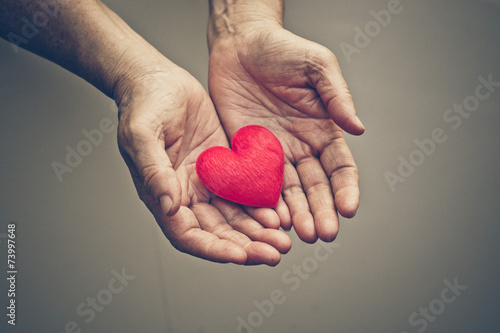 Fototapeta Naklejka Na Ścianę i Meble -  old hands of the elderly giving a red heart