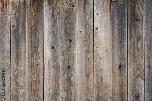 Vetical worn fence boards with gray finish with knots photo