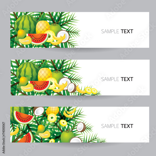 Mixed Tropical Fruits, Banner