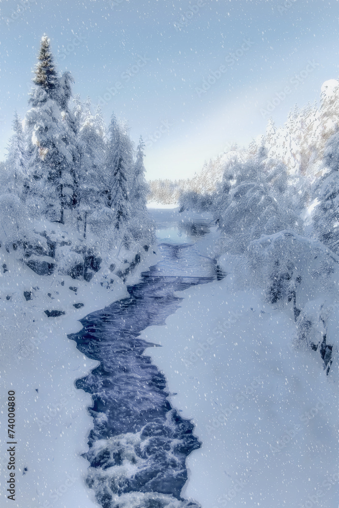 Obraz premium Winter wonderland