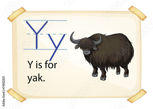 A letter Y for yak