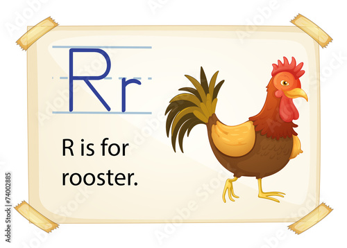 A letter R for rooster