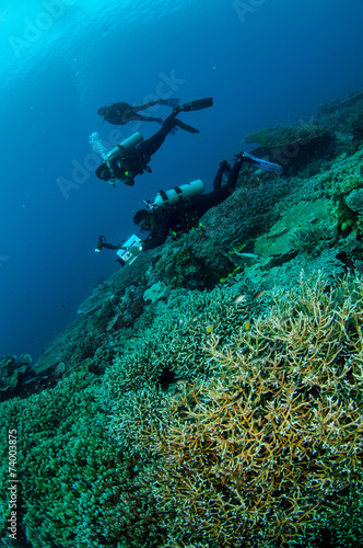 Divers, various hard coral reefs in Banda, Indonesia underwater