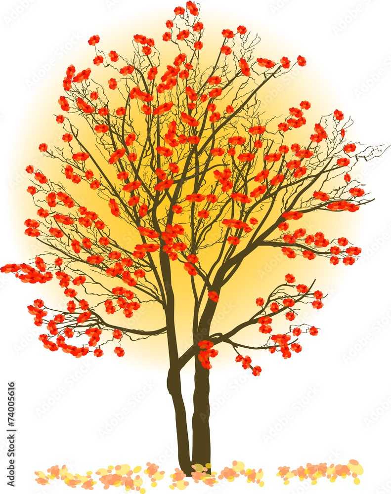 Fototapeta premium red rowan tree on light background