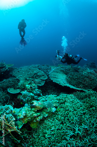Divers, various hard coral reefs in Banda, Indonesia underwater