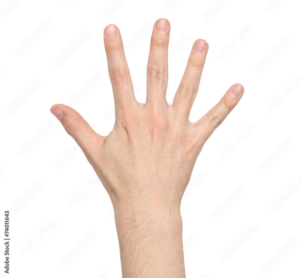 Hand Hand