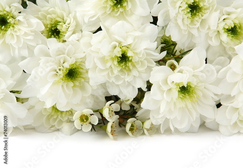 White chrysanthemums over white