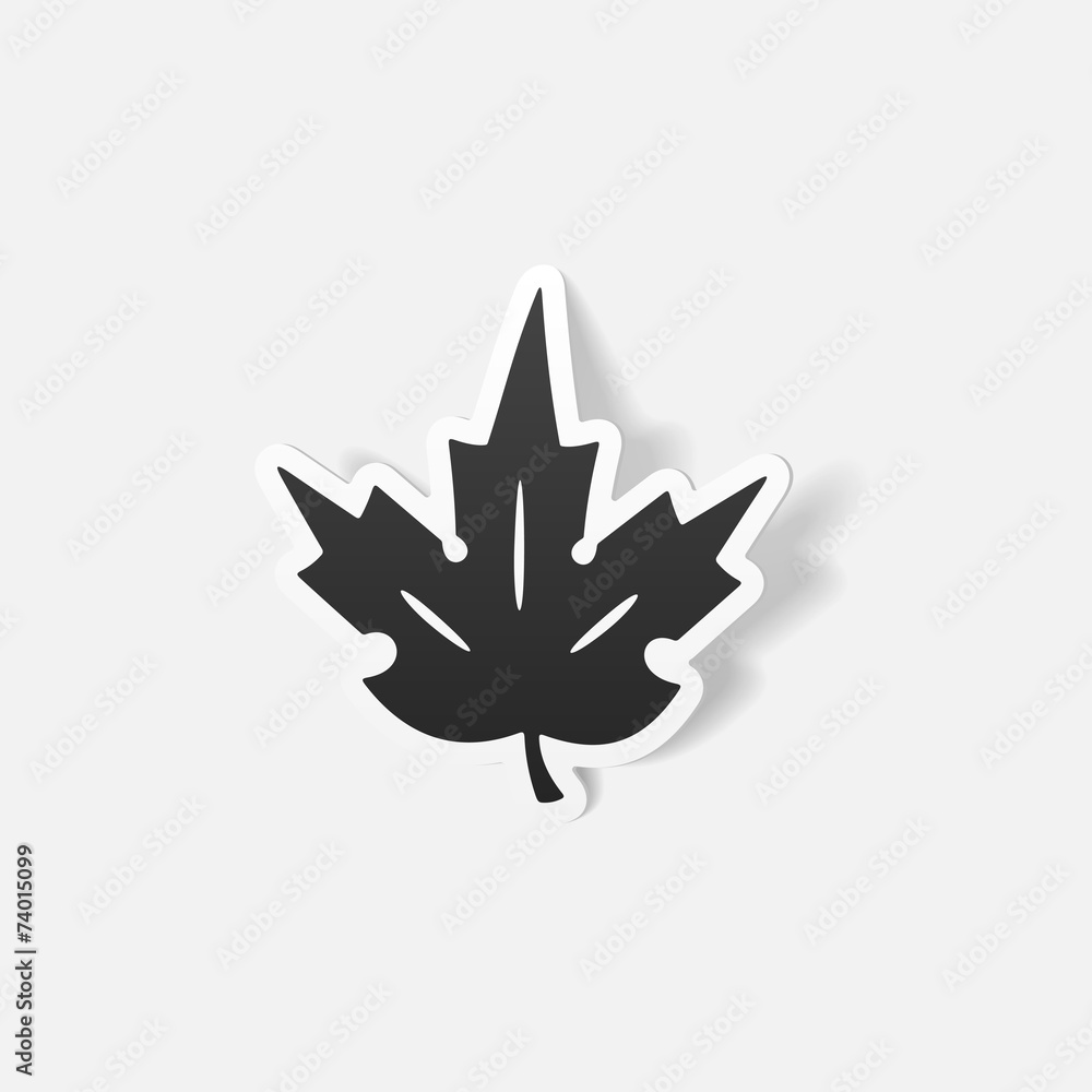 realistic design element: leaf realistic design element: leaf