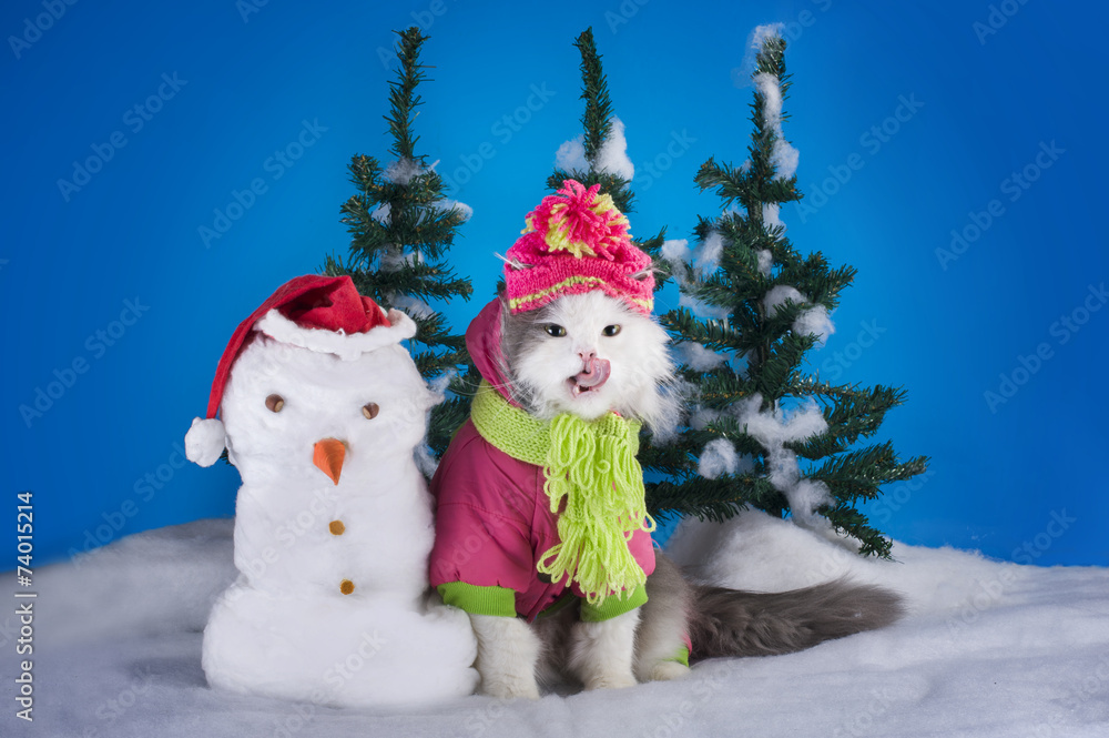 young kitten makes a snowman in a forest