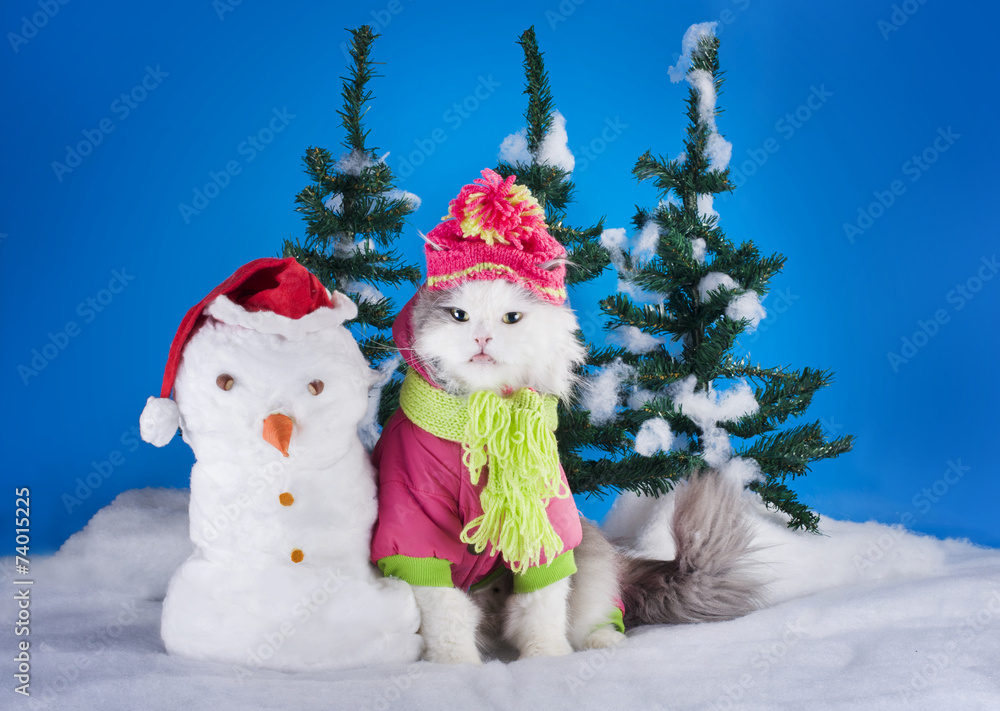 young kitten makes a snowman in a forest