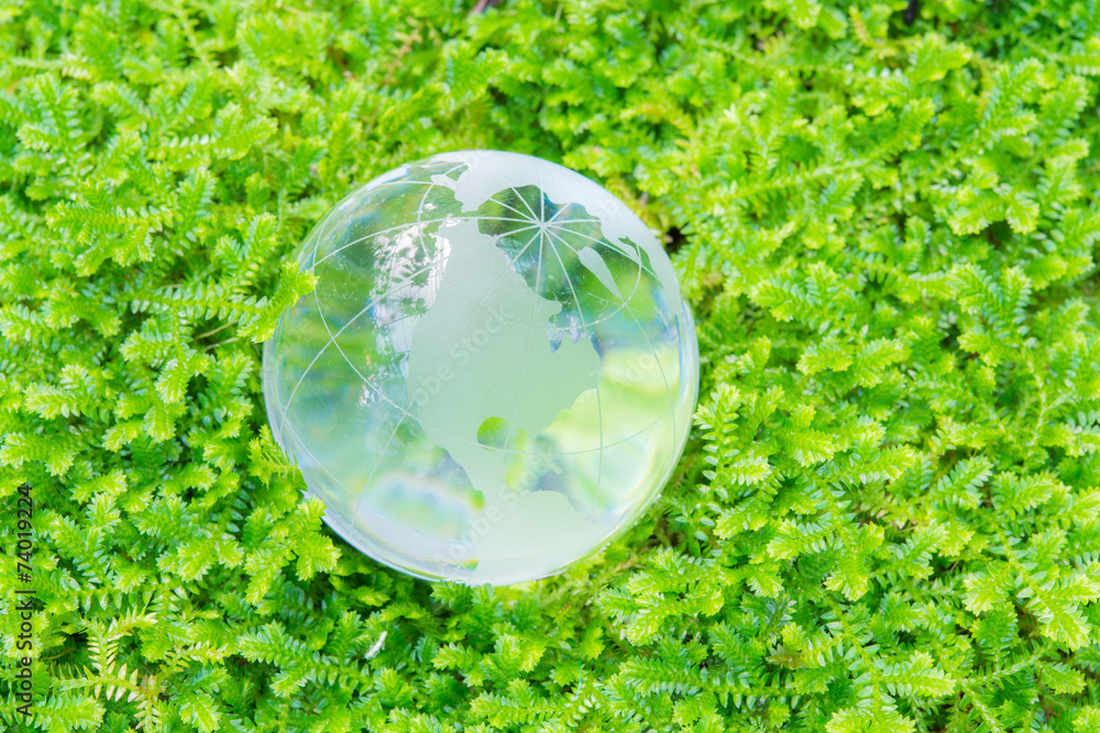 Glass globe in green grass Glass globe in green grass