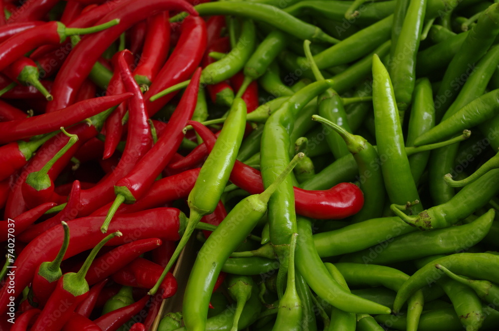 chili - paprika chili - paprika