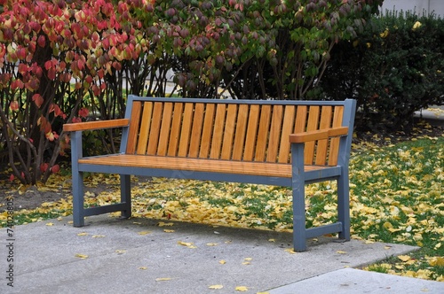 Canvas Print Bench in garden with leaves on the ground