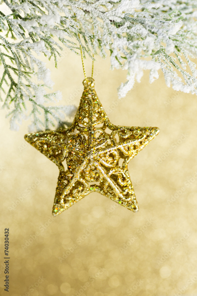 Christmas star. Christmas star.
