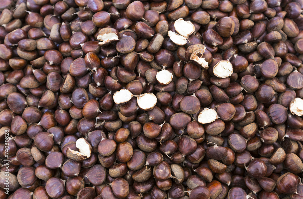 Chestnut Chestnut