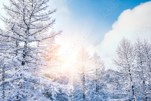 Beautiful winter landscape © smallredgirl