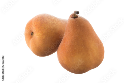 Two Beurre Bosc pears photo