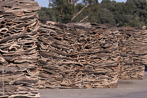 Cork Bark