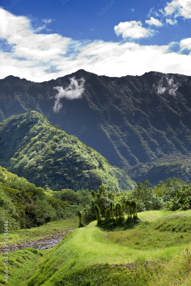 Tahiti. The road in mountains. Tropical nature.