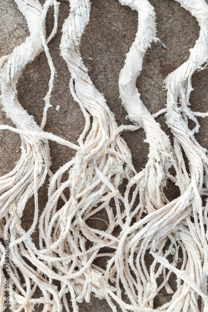 Close up old white rope texture and background Close up old white rope texture and background