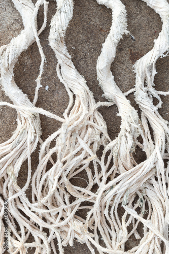 Close up old white rope texture and background