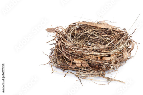 Empty bird nest isolated on white