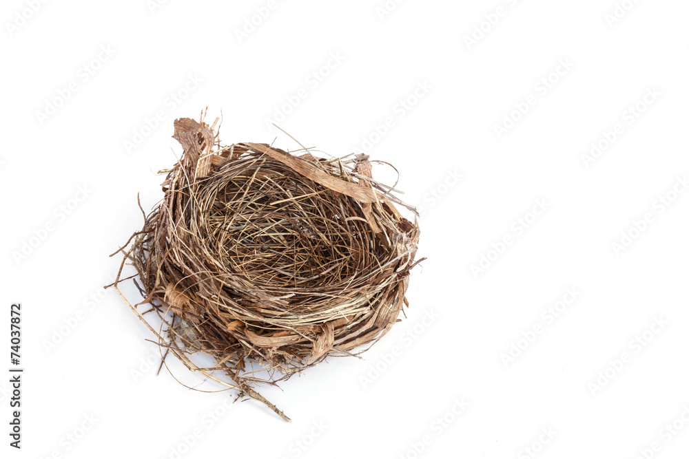 Obraz premium Empty bird nest isolated on white