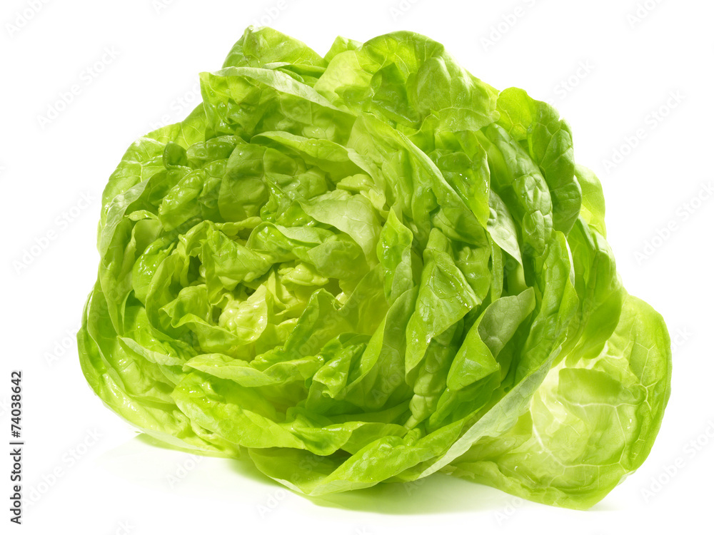 Kopfsalat Kopfsalat