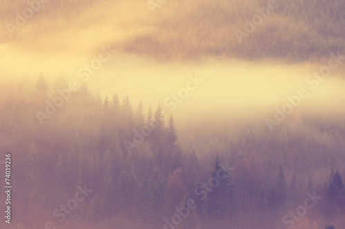 Beautiful misty morning in mountains © dziewul