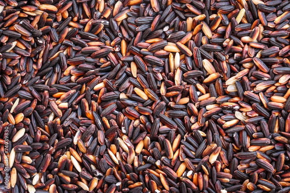 Close up black sticky rice for background Close up black sticky rice for background