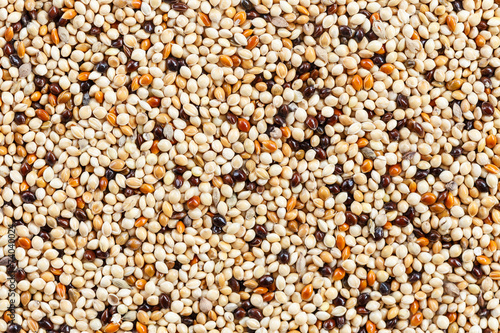 Close up Sorghum rice for background