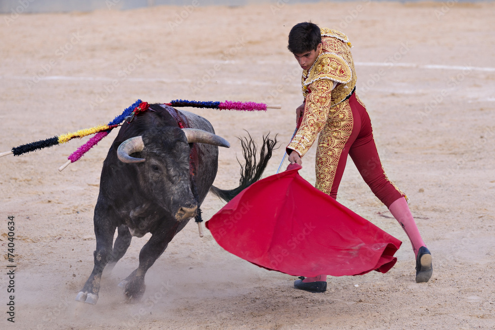 Bullfighter in a bullring - obrazy, fototapety, plakaty 
