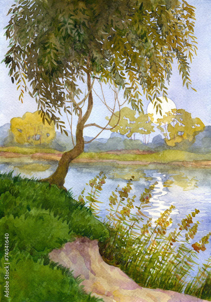 Fototapeta premium Willow over the river