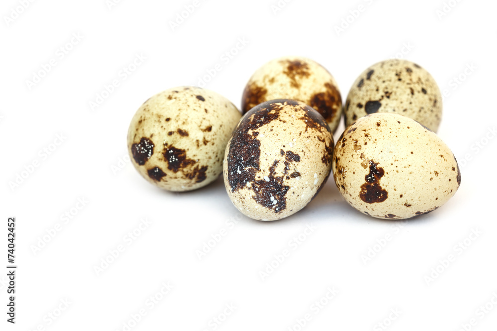 Quail eggs isolated on white ground
