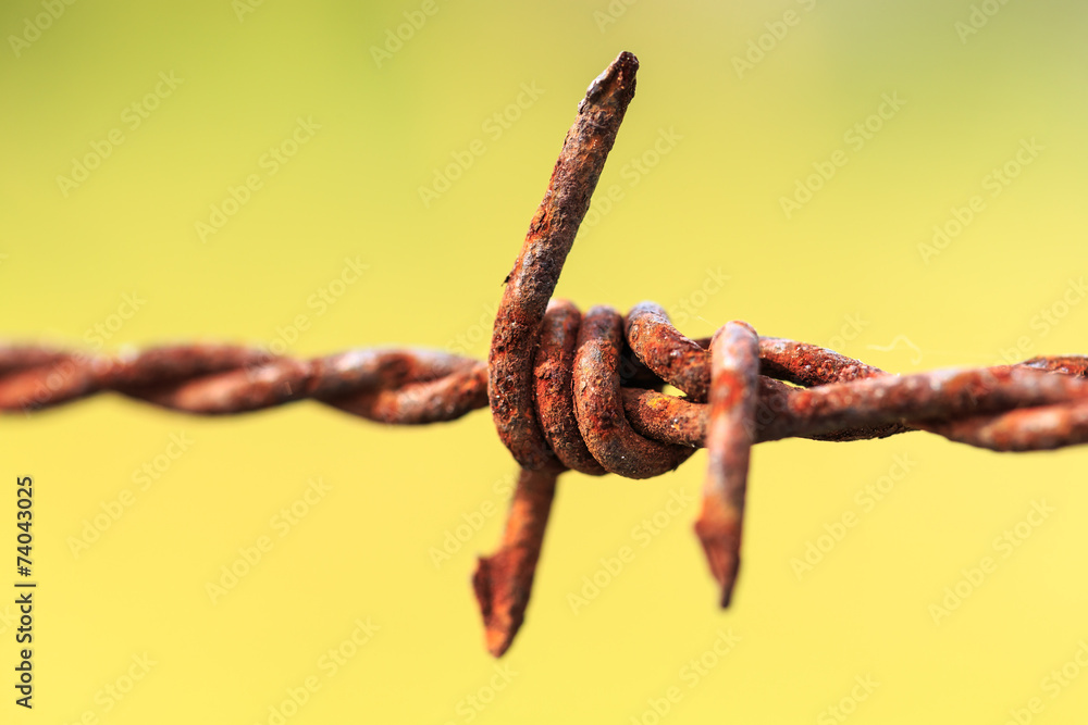 Close up rusty barbed wire Close up rusty barbed wire
