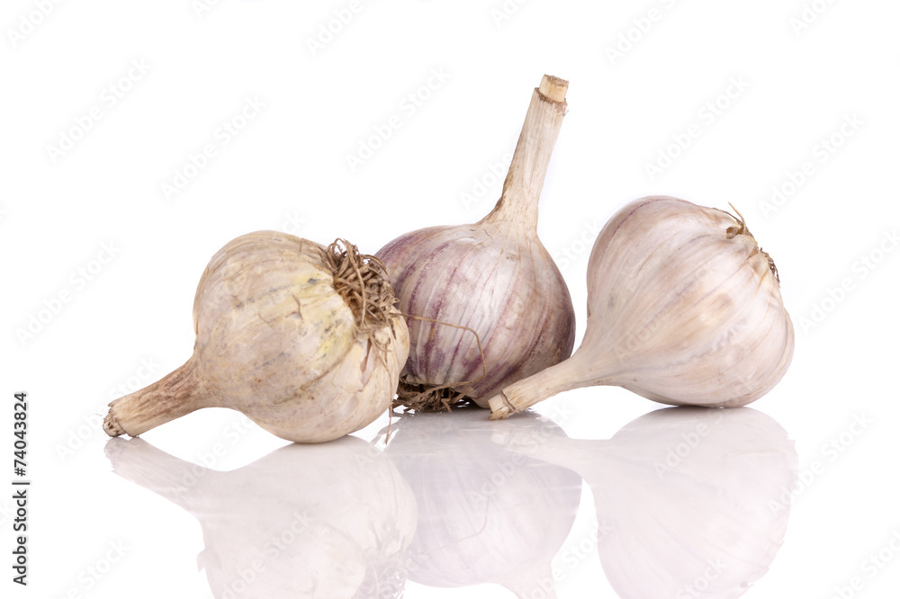 Fototapeta premium white garlic