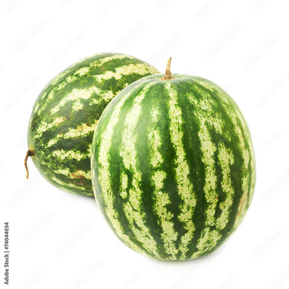 Green watermelon fruit composition isolated Green watermelon fruit composition isolated