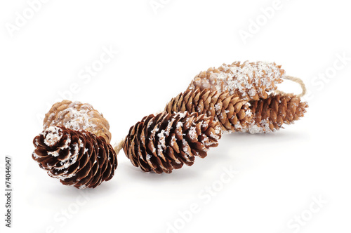 snowy pine cones